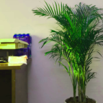 About D’Markly | 360° Marketing Maestro! 5 dmarkly-4