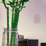 About D’Markly | 360° Marketing Maestro! 6 dmarkly-5