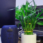 About D’Markly | 360° Marketing Maestro! 7 dmarkly-6